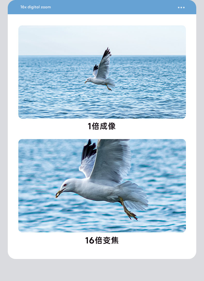 37d130dfaad7ebc7.jpg